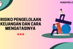 Risiko Pengelolaan Keuangan dan Cara Mengatasinya – Elsa Damayanti